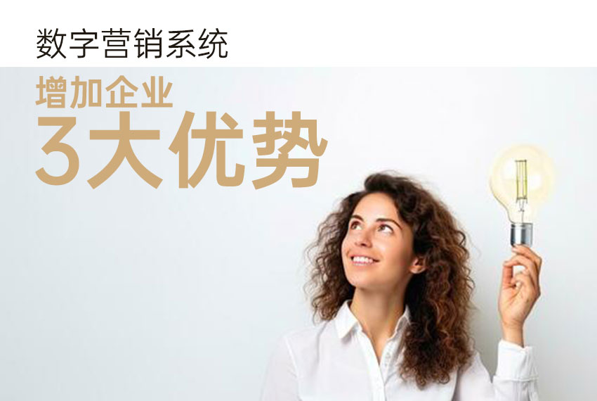 數(shù)字營(yíng)銷(xiāo)系統(tǒng)